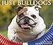 Just Bulldogs 2019 Box Calendar (Dog Breed Calendar) by