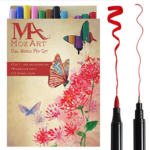 Dual Tip Brush Pen Marker Set - 12 Colors - Soft Flexible Brush Tip & Fineliner Tip, Create Watercolor Effect - Best for Adult Coloring Books, Manga, Comic, Calligraphy - Dual Thickness