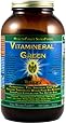 HealthForce Vitamineral Green SuperFood Powder 500g