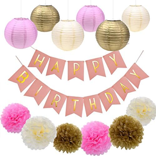 Babite Happy Birthday Banner Tissue Paper Pom Poms Paper Flowers Paper Lantern Hanging Flower Ball Party Decor Kit for Birthday Party Decorations