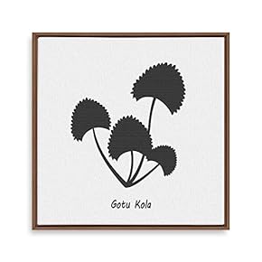 Framed Canvas Wall Art for Living Room, Bedroom Nordic Style Plants Theme Canvas Prints for Home Decoration Ready to Hang - 16x16 inches