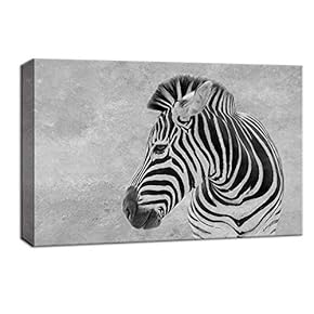 Zebra Head Turned Gray Background - Canvas Art