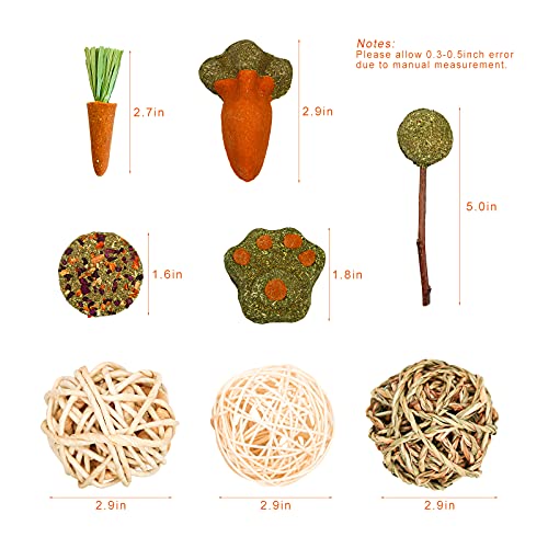 NA Ruisheng15 Pcs Rabbit Chew Toys, Natural Timothy Grass Teeth Grinding Cakes, Mixed Bunny Treats Different Flavor Chew Toys for Hamster Guinea Pig Chinchilla and Other Small Animals (H 01)
