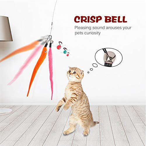 Retractable Cat Toys Wand with 5 Piece Teaser Refills, Interactive Cat Feather Toy for Cat Kitten Having Fun Exerciser Playing, Purple