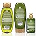 Garnier Hair Care Whole Blends Legendary Olive Replenishing Hair Care with Shampoo, Conditioner, and Leave In Treatment, For Dry Depleted Hair, Paraben Free, 1 Kitthumb 1