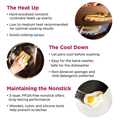 AllClad 3020 Hard Anodized Aluminum Scratch Resistant Nonstick Anti