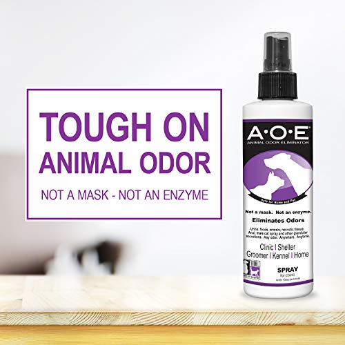 Odorcide Animal Odor Eliminator Spray Ready to Use Pet Odor