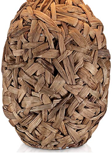 Nantucket-Tropical-Table-Lamp-Natural-Seagrass-White-Drum-Shade-for-Living-Room-Family-Bedroom-Bedside-Nightstand-Office-360-Lighting Nantucket Tropical Table Lamp Natural Seagrass White Drum Shade for Living Room Family Bedroom Bedside Nightstand Office…