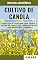 Livro CULTIVO DE CANOLA | Métodos de cultivo, e importância econômica da canola