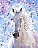 LB DIY Oil Painting for Adults Kids Paint By Number Kit Digital Oil Painting White Fine Horse 16X20 Inches