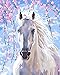 LB White Fine Horse Paint by Numbers for Adults Horse DIY Oil Painting for Kids Paint by Number Kit Digital Oil Painting 16X20 Inches