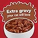 Purina Friskies Extra Gravy Wet Cat Food Chunky With Beef in Savory Gravy - (Pack of 24) 5.5 oz. Cans
