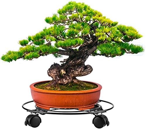 14 inch Metal Potted Plant Caddy with Universal wheel Rustproof Round Flower Pot Rack Indoor Outdoor Planter Supports Holder Trolley Casters Rolling Tray Coaster (Black)