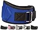 Fire Team Fit Weightlifting Belt, Weight Belt, Weight Lifting Belt for Men and Women, 6 Inch, Back Support for Lifting, Squat and Deadlifting Workout Belt (Blue, 38