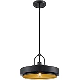 DESIGNERS FOUNTAIN Odea Pendant Light, 14 Inch Hanging Ceiling Fixture for Kitchen Island and Dining Room, Matte Black, D295M