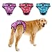 PETBABA Female Dog Diapers, 3 Pcs Period Pants, Reusable Washable Cover Up Panties, Adjustable Nappies Suitable Medium to Large Women in Heat Season in XXL