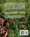 Moving Freely Forward: A Handbook for Training Level Dressage