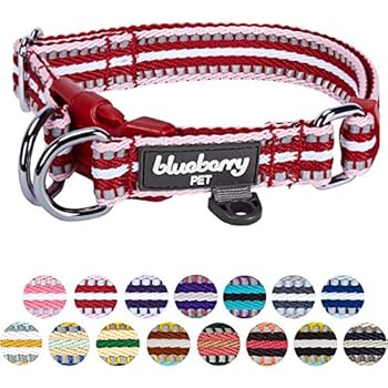 Blueberry Pet 15 Colors 3M Reflective Multi-Colored Stripe Adjustable Dog Collar, Marsala Red and Pink, Small, Neck 12