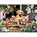 Summer on the Porch a 300-Piece Jigsaw Puzzle by Sunsout Inc.