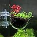 Crystal Glass Aquatic Plant Cup Pot Holder,Fashionclubs Aquarium Tank Live Plant Glass Pot Red Shrimp Holder with 2 Suckers,Fish Tank Aquascape Decor,2-Packthumb 1