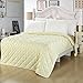 NATURETY Thin Comforter for Summer,Light Weight Bed Quilts Cooling Blanket (Full/Queen, Light Yellow)