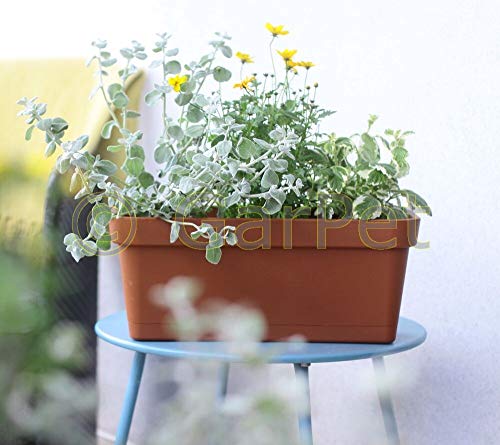 Geländerkasten Balkonkasten Geländer Blumen Kasten Topf Einzel Doppel Halterung Terracotta 40 – Bild 3