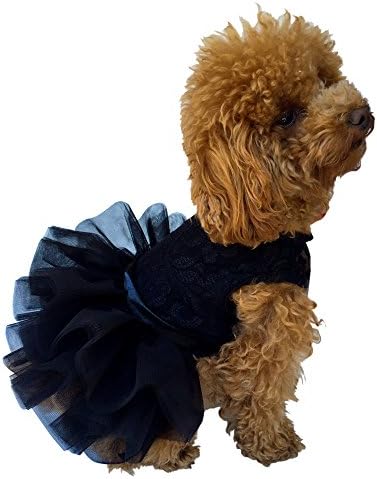 formal dog clothes