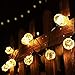 ECOWHO 30 LED Globe String Lights with G40 Light Bulbs UL Listed 32FT Indoor Outdoor Patio Garden Lawn Use (Warm White)
