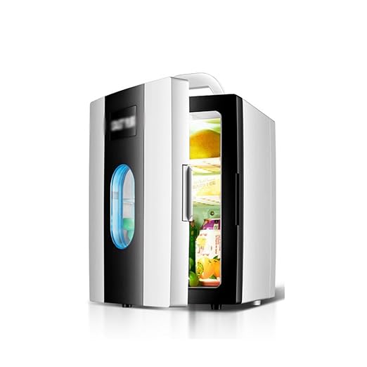 PIGE 10L 12V DC 220V AC refrigeración Calefacción refrigerador ...