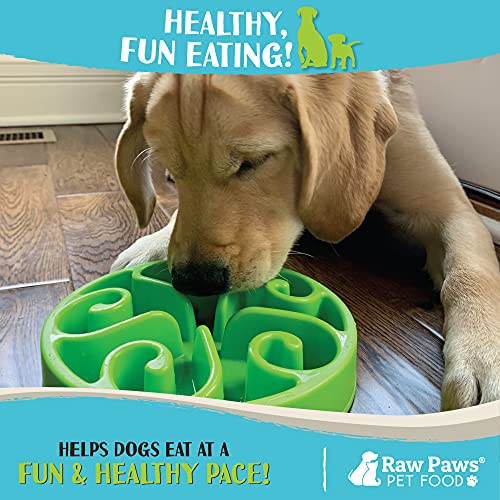 Raw Paws Pet BPA-Free Slow Feeder Dog Bowl - Dog Bowl Slow Feeder Large Breed, Medium Sized Dog & Puppies - Canine Slow… - Image 7