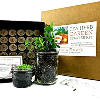 Amazon.com : Indoor Herbal Tea Garden Kit - Grow Herb Tea ...