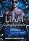 Livro LIAM - INTENSA SEDUÇÃO (Família Ballard Livro 1)