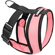 Gooby - Comfort X Head-in Harness, Choke Free Small Dog Harness with Micro Suede Trimming and Patented X Frame, Pink, Small