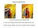 Eyson Slim Inflatable PFD Life Jacket Life Vest Adult Automatic