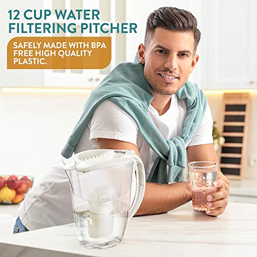 Nakii Everyday Water Filter Pitcher, Powerful Ion and Aquelen