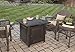 Endless Summer GAD15255SP Gas Outdoor Fire Table LP, Oil Rubbed Bronze