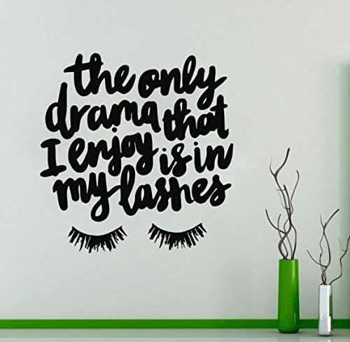 Wall Decal Window Sticker Beauty Salon Woman Face Eyelashes Lashes Eyebrows Brows t10