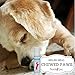 PeachyDog DogBalm Repairs & Protects, Anti-fungal, Anti-Septic, Alleviates Discomfort & Itchiness Caused by Skin Problems, Allergies, Wounds, Abrasions, Hot Spots & Flea Bites, Handy Size 0.5oz