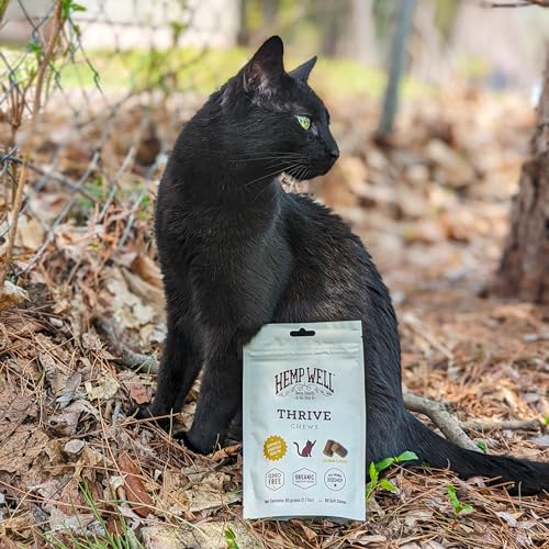 HEMP WELL THRIVE CAT SOFT CHEWS – 60 COUNT, EVERYDAY SUPPLEMENT FOR OVERALL HEALTH, SUPPORTS HIP, JOINT, HEART HEALTH, ORGANICALLY SOURCED, OMEGA 3 FOR CATS, NATURAL CAT TREATS & SUPPLEMENTS