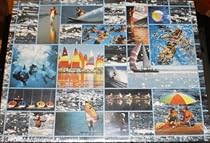 Springbok The Water's Fine 500 Piece Puzzle by Springbok