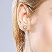 Sterling Silver Stud Earrings - Crystal Cubic Zirconia - Fashion Rhodium Plated Hypoallergenic Screwback Earrings for Women