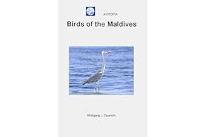 AVITOPIA - Birds of the Maldives