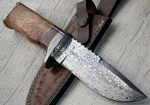 Reg 16 c-fr handmade damascus steel 11.00 inches bowie …