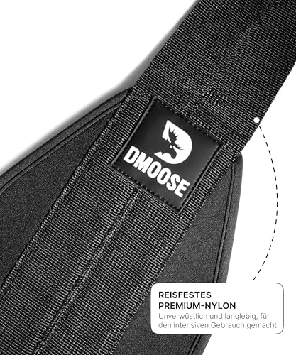 DMoose Fitness Hanging Abdominal Straps for Pull-Up Bar & Core Strength Training - Thick Padded Arm Strap for Abdominal Swing with 2 Rustproof Carabiners - Pull-Up Straps for Abdominal Training