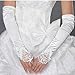 Tapp C. Fingerless Floral Embroidery Lace Opera Length Satin Gloves - 17