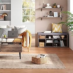 DINZI LVJ Shoe Storage Bench with Cushion, Cubby