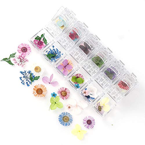 editTime 36 PCS Nail Dried Flowers Daisy Hydrangea Macrophylla and Leaf for Manicure Natural Real Dry Flower Kit 3D Nail Art Sticker Flower Beauty Nail Stickers
