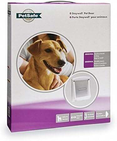 cockatiel parrot white