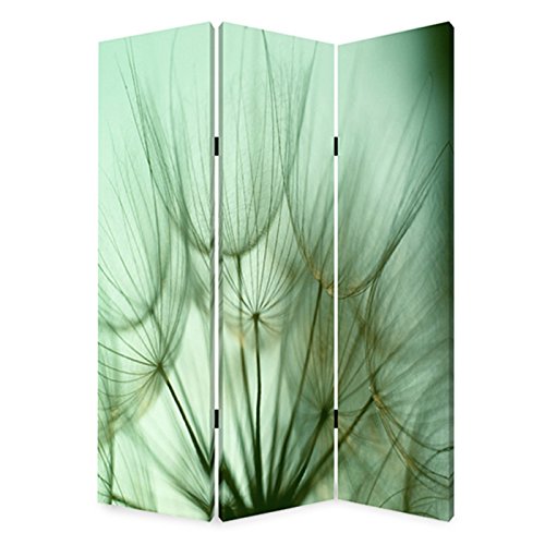 Screen Gems Rain Room Divider