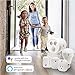 Fox&Summit FS-WDS100 Door and Window Sensor, WiFi Enabled Battery Operated Smart Sensor, Security Door Sensor, No Hub Required (1 PK, Door and Window Sensor)